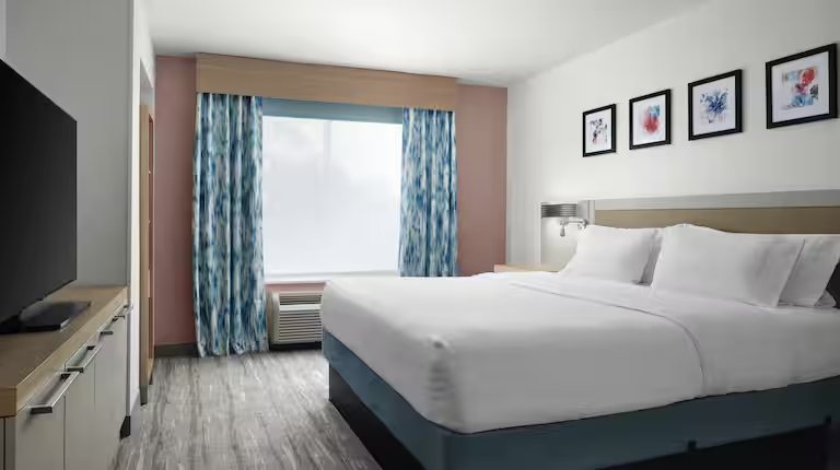 Hilton Garden Inn Tampa East Brandon — Guest room