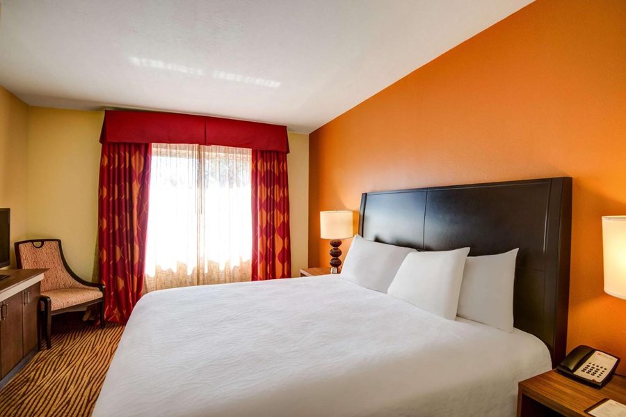 Hilton Garden Inn Tampa Ybor Historic District — Guest room