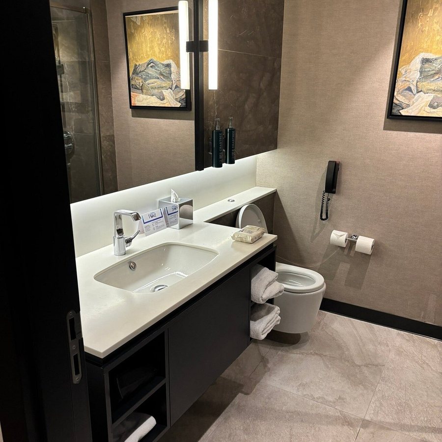 Hilton Istanbul Maslak Istanbul — Bathroom