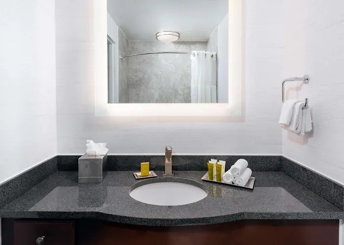 Hilton Pennywell St Louis At The Arch — Bathroom