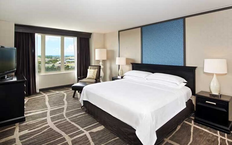 Hilton St Petersburg Bayfront — Guest room