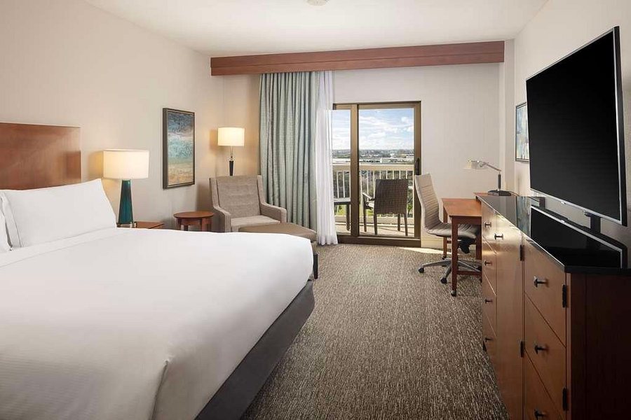 Hilton St Petersburg Carillon Park — Guest room