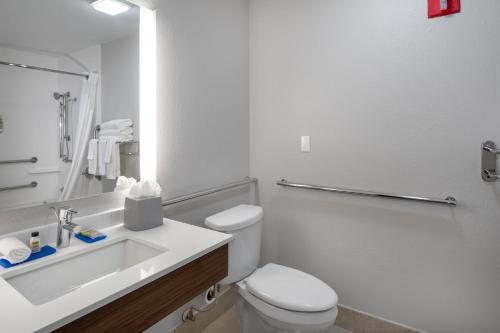 Holiday Inn Arlington Ne rangers Ballpark By IHG — Bathroom