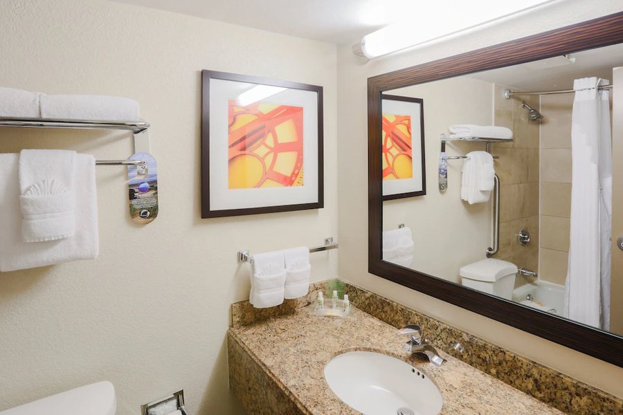 Holiday Inn Austin Town Lake By IHG — Bathroom