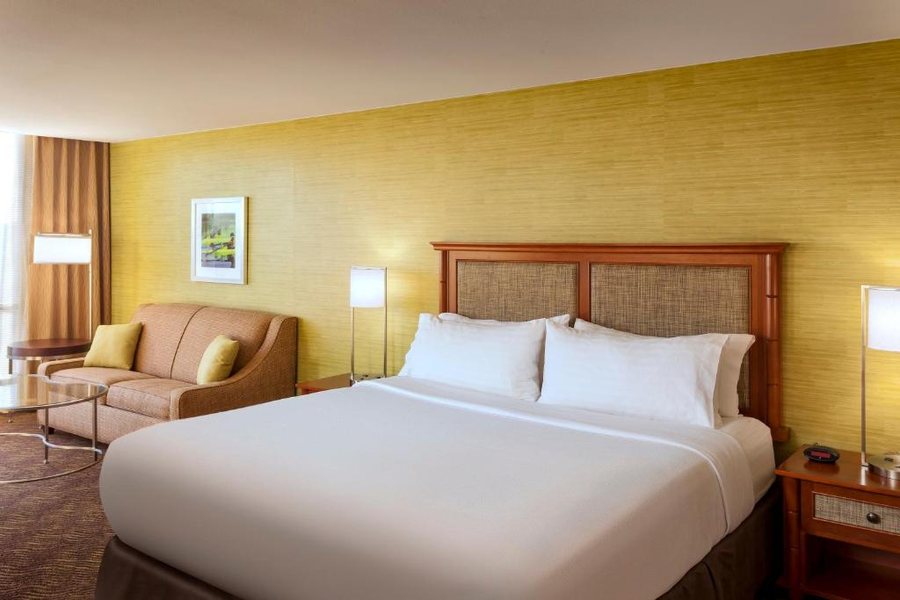Holiday Inn Austin Town Lake By IHG — Guest room