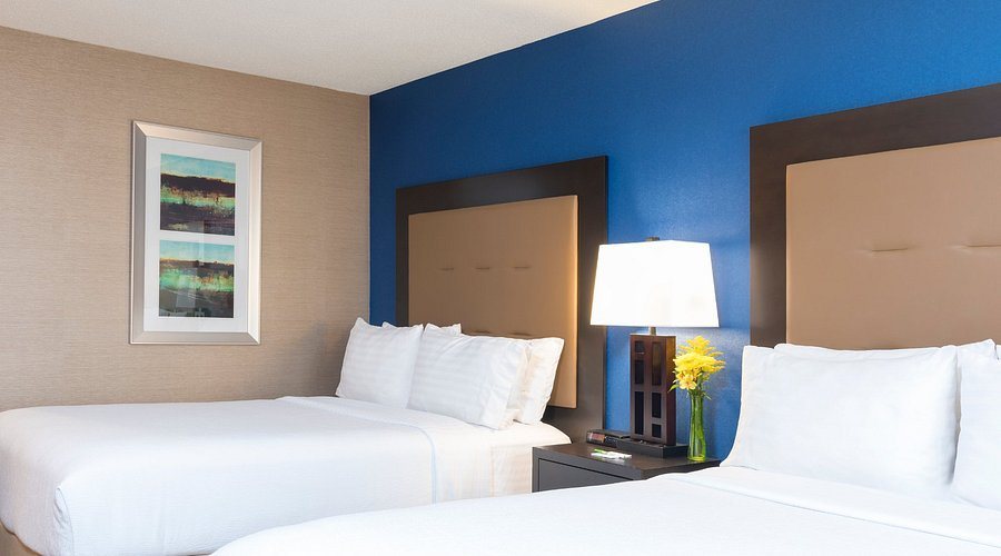 Holiday Inn Chicago Elk Grove by IHG — Guest room