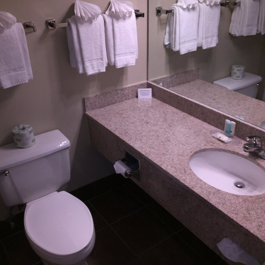 Holiday Inn Clarkston Lewiston by IHG — Bathroom