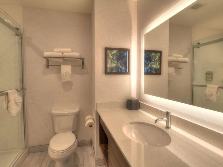 Holiday Inn Cody Convention Center By Ihg — Bathroom