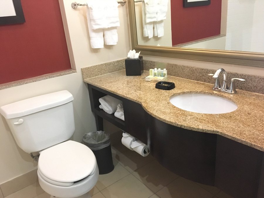 Holiday Inn Dfw Airport South By IHG — Bathroom