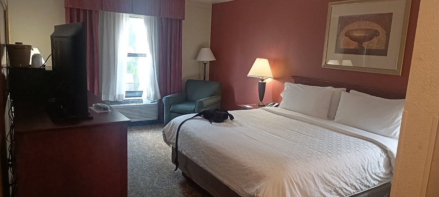 Holiday Inn Express Breaux Bridge henderson By IHG — Guest room