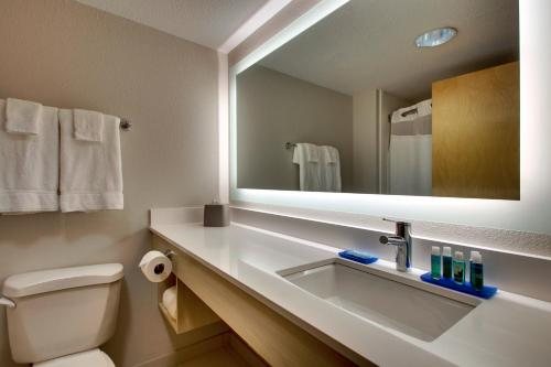 Holiday Inn Express Cedar Rapids Collins Rd by IHG — Bathroom
