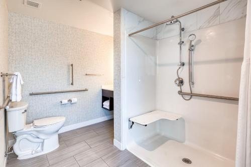 Holiday Inn Express Kansas City Downtown By IHG Kansas City Missouri — Bathroom