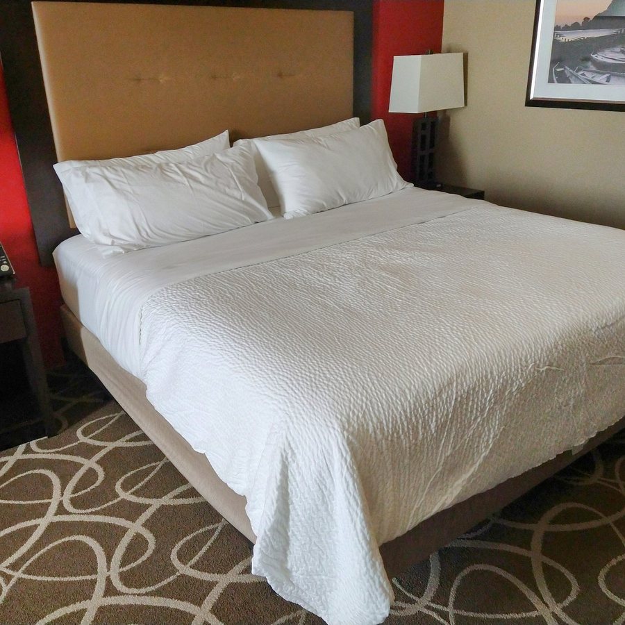 Holiday Inn Express Klamath Redwood Ntl Park Area By IHG — Guest room