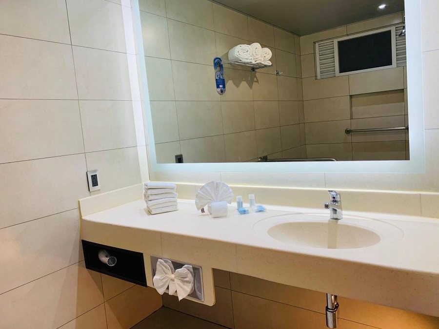 Holiday Inn Express Mexico Aeropuerto by IHG — Bathroom