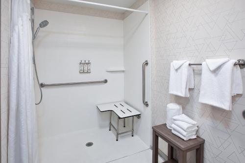 Holiday Inn Express Sault Ste Marie by IHG — Bathroom