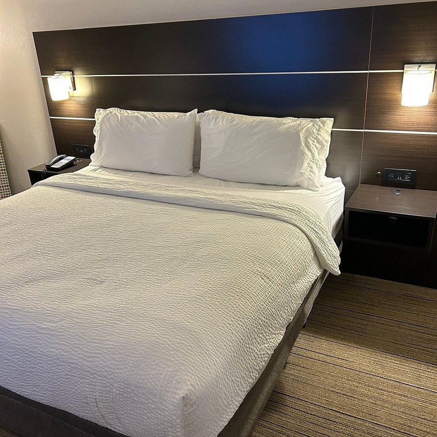 Holiday Inn Express Starke by IHG Starke Florida — Guest room