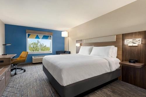 Holiday Inn Express Suites Albany Airport Area Latham — Guest room