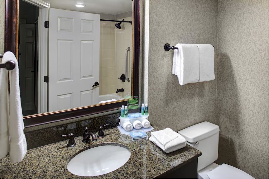 Holiday Inn Express Suites Atlanta Buckhead By IHG — Bathroom