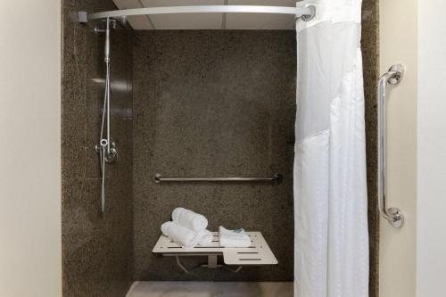 Holiday Inn Express Suites Atlanta Downtown By IHG — Bathroom