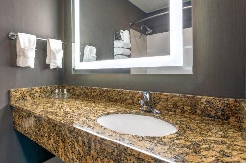 Holiday Inn Express Suites Auburn Hills By IHG — Bathroom