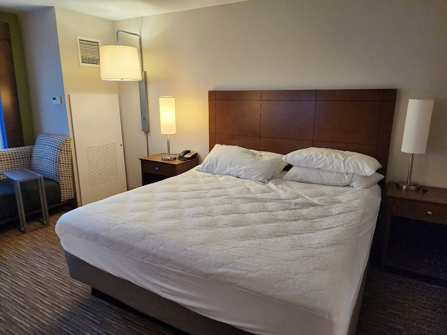 Holiday Inn Express Suites Austin Downtown University by IHG — Guest room