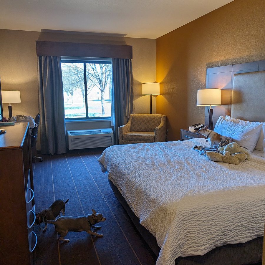Holiday Inn Express Suites Brainerd Baxter by IHG — Guest room