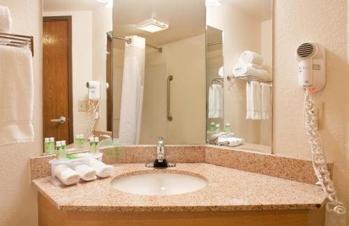Holiday Inn Express Suites Branson 76 Central — Bathroom