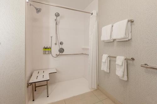 Holiday Inn Express Suites Brunswick Harpers Ferry Area By Ihg — Bathroom