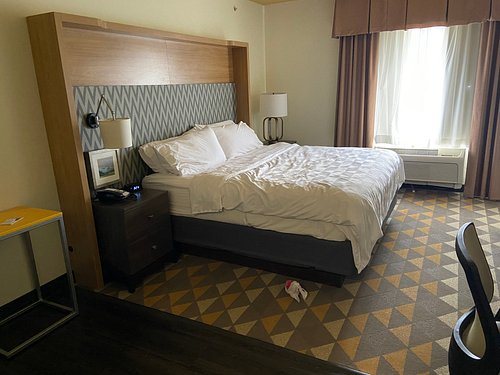 Holiday Inn Express Suites Carbondale University Area by IHG — Guest room