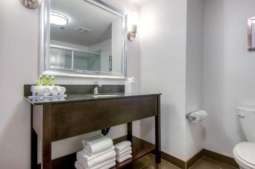 Holiday Inn Express Suites Carlsbad By IHG — Bathroom