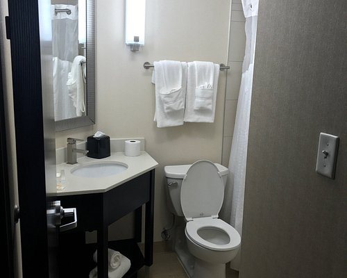 Holiday Inn Express Suites Charlotte Airport By IHG — Bathroom