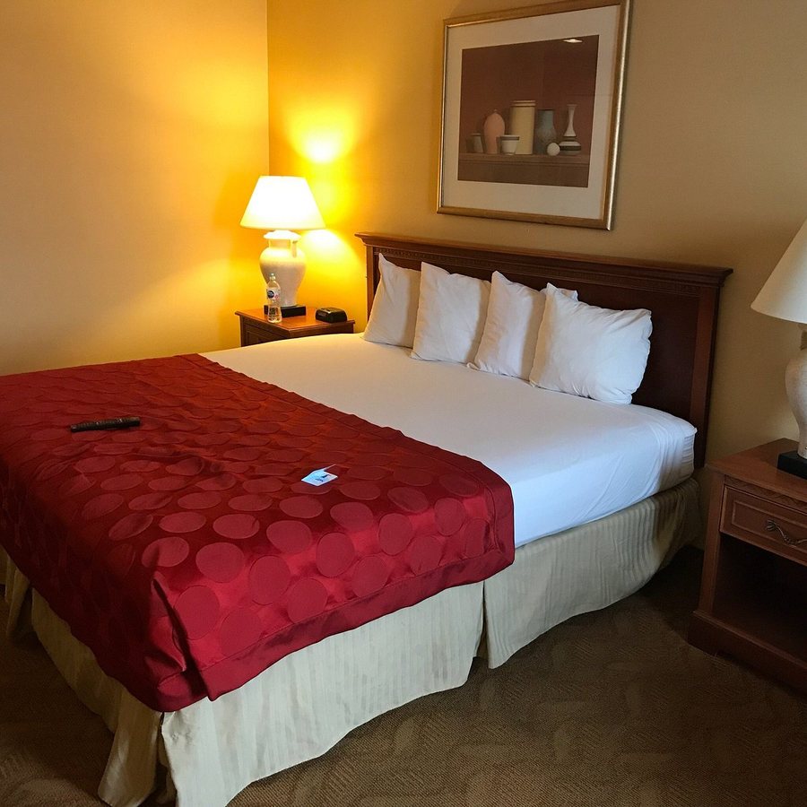 Holiday Inn Express Suites Chatsworth By IHG Los Angeles California — Guest room