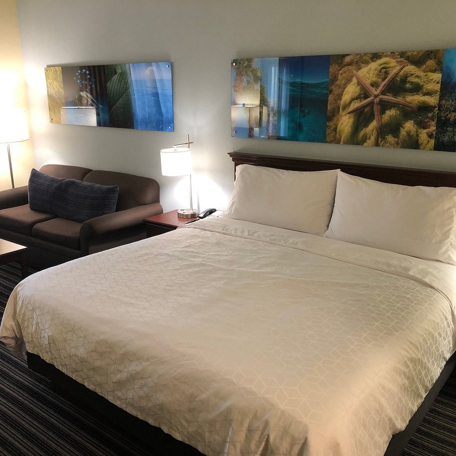 Holiday Inn Express Suites Clearwater North Dunedin By IHG — Guest room