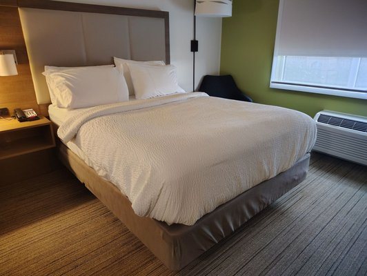 Holiday Inn Express Suites Columbia Downtown The Vista by IHG — Guest room