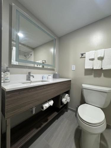 Holiday Inn Express Suites Corpus Christi n Padre Island By IHG Corpus Christi Texa — Bathroom