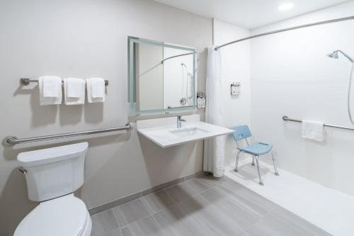 Holiday Inn Express Suites Denver Airport by IHG — Bathroom