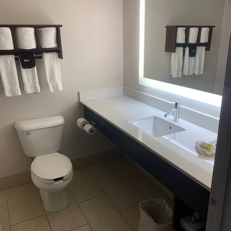 Holiday Inn Express Suites Fort Atkinson by IHG — Bathroom