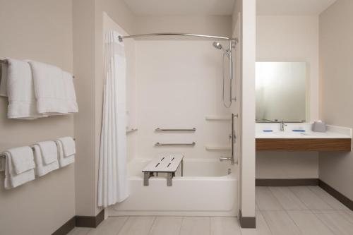 Holiday Inn Express Suites Fort Myers Airport by IHG — Bathroom