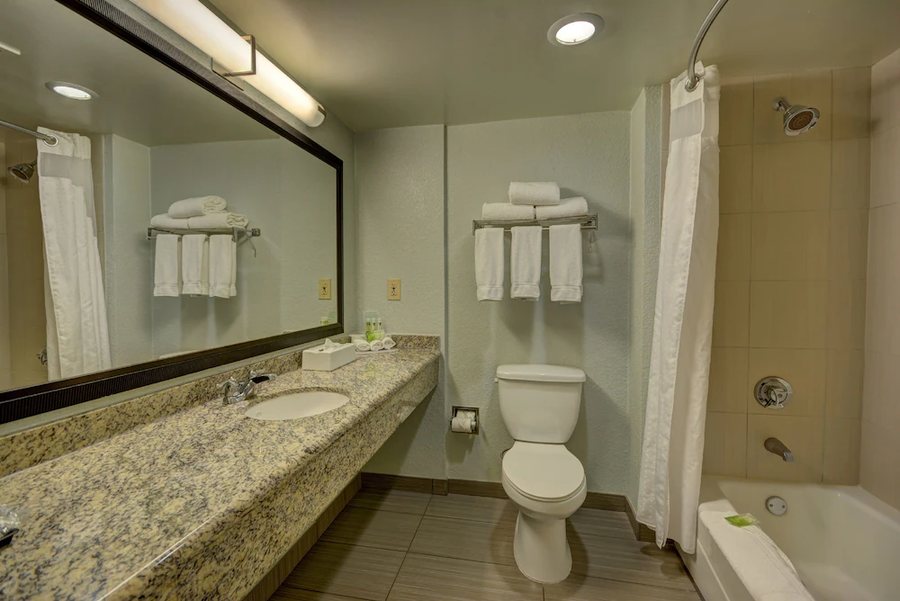 Holiday Inn Express Suites Ft Lauderdale Airport Cruise by IHG Fort Lauderdale Bro — Bathroom