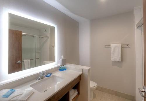 Holiday Inn Express Suites Ft Myers East The Forum By IHG — Bathroom