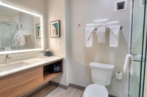 Holiday Inn Express Suites Gainesville Lake Lanier Area By IHG — Bathroom