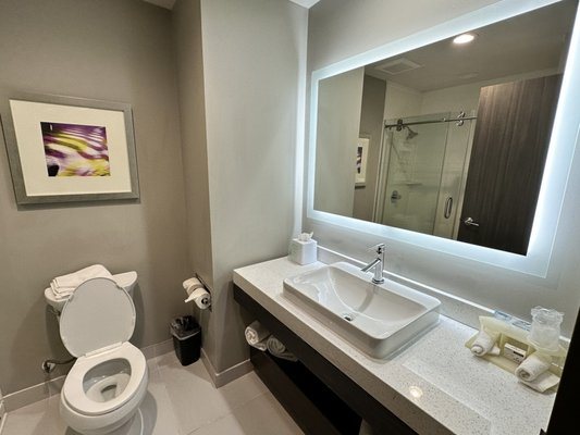 Holiday Inn Express Suites Garland E Lake Hubbard I30 By IHG — Bathroom