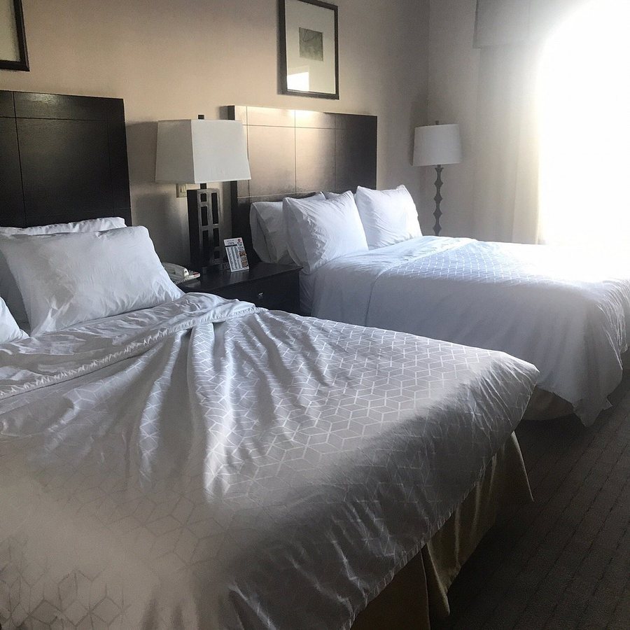 Holiday Inn Express Suites Grants Milan by IHG — Guest room