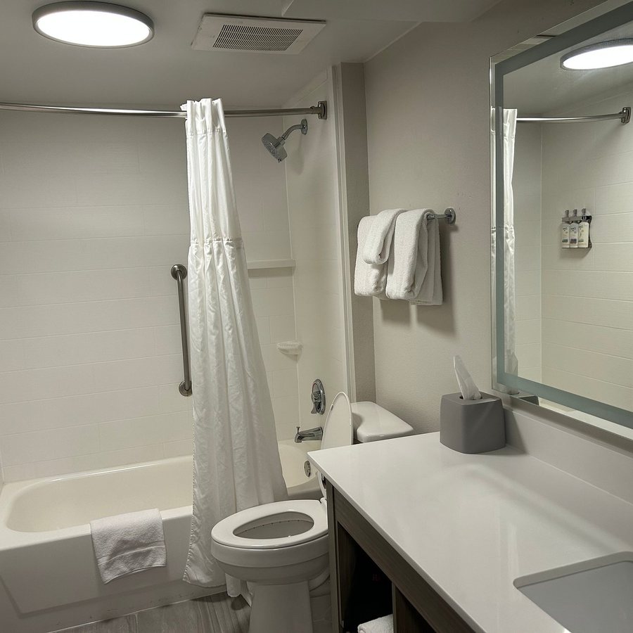 Holiday Inn Express Suites Greenville Downtown by IHG — Bathroom