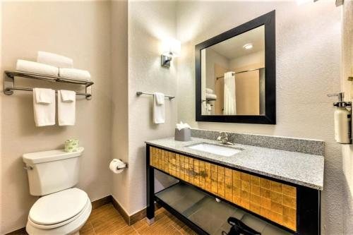 Holiday Inn Express Suites Houston East By IHG — Bathroom
