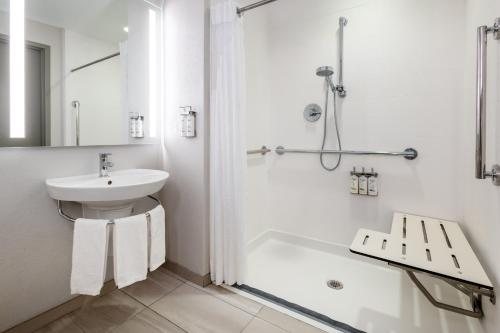 Holiday Inn Express Suites Jackson Flowood by IHG — Bathroom