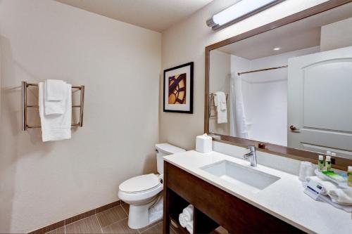 Holiday Inn Express Suites Kingman by IHG — Bathroom