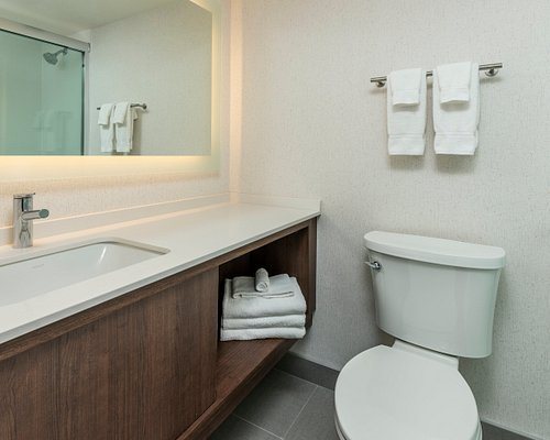 Holiday Inn Express Suites Kinston By IHG — Bathroom