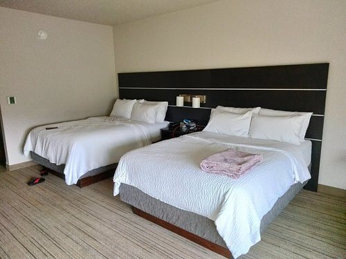 Holiday Inn Express Suites Kirksville University Area by IHG — Guest room