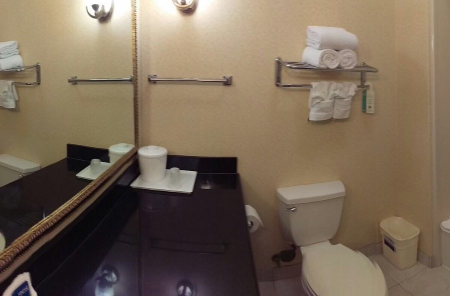 Holiday Inn Express Suites Longview South I 20 by IHG — Bathroom